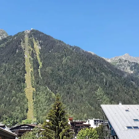 Apartment 32m With Balcony View On The Mountain Chamonix